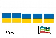 Banderines de Canarias 50m